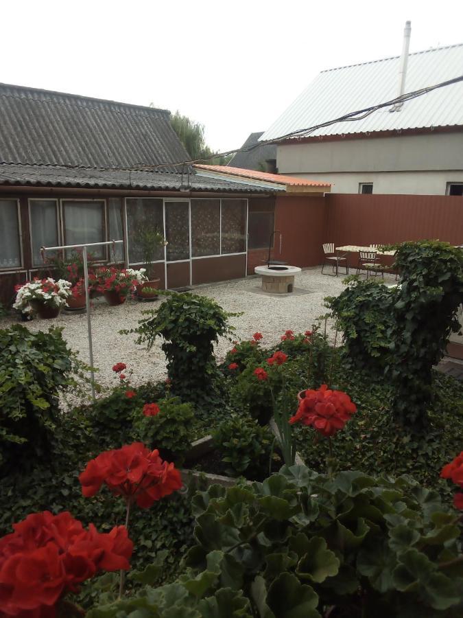 Vadkacsa apartmanház medencével Zamárdi Kültér fotó