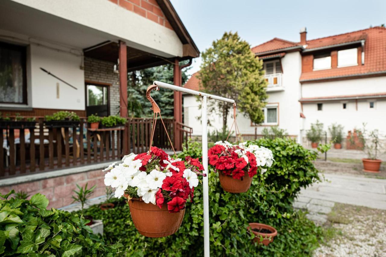 Vadkacsa apartmanház medencével Zamárdi Kültér fotó